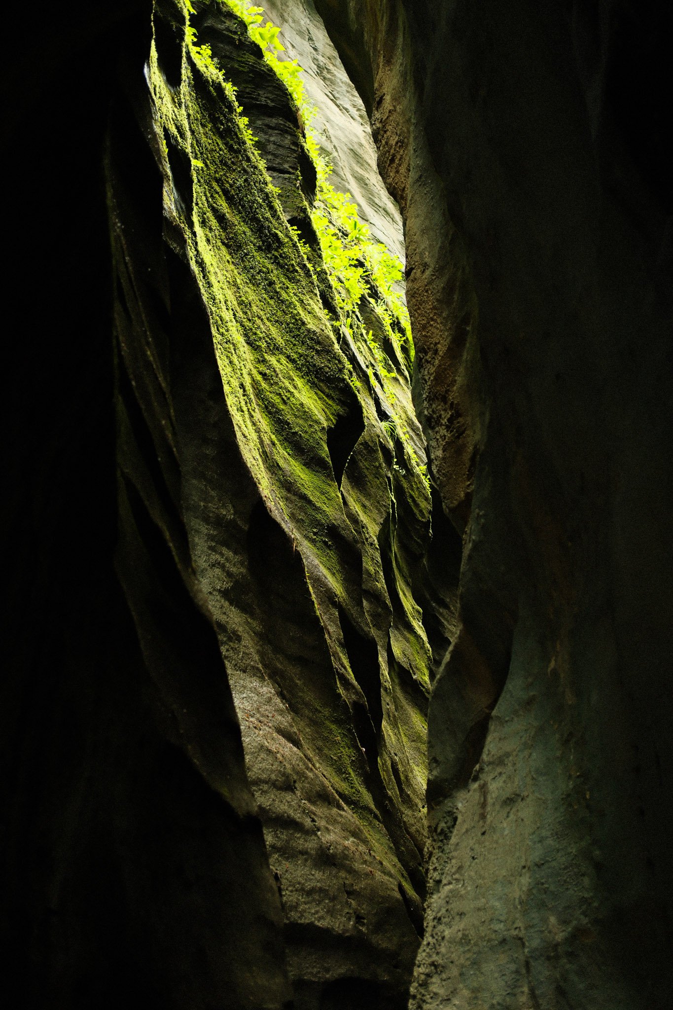Aareschlucht, 2023